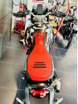 DUCATI DESERT X TERMIGNONI ET NOMBREUSES OPTIONS - DESERT X - DESERT-X