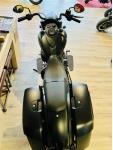 INDIAN SPRINGFIELD DARK HORSE 116CI
