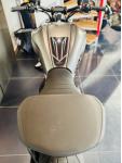 DUCATI DIAVEL 1260S MAGNIFIQUE / 1260 S